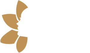 Beauty Demo3